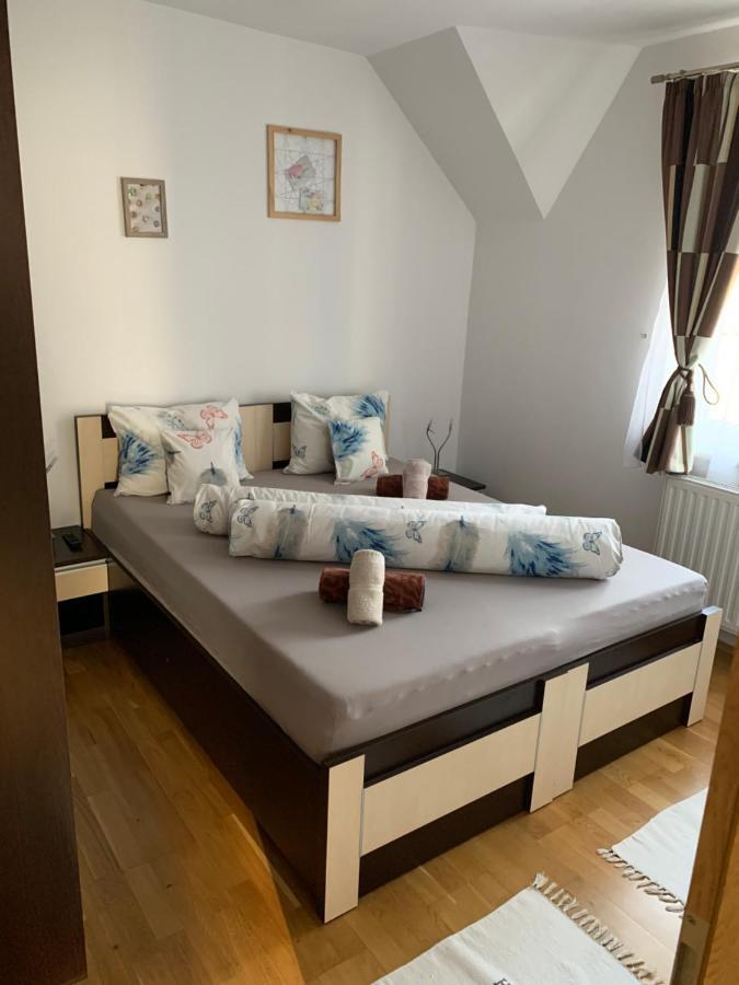 Smiley Apartment Sibiu Exterior photo